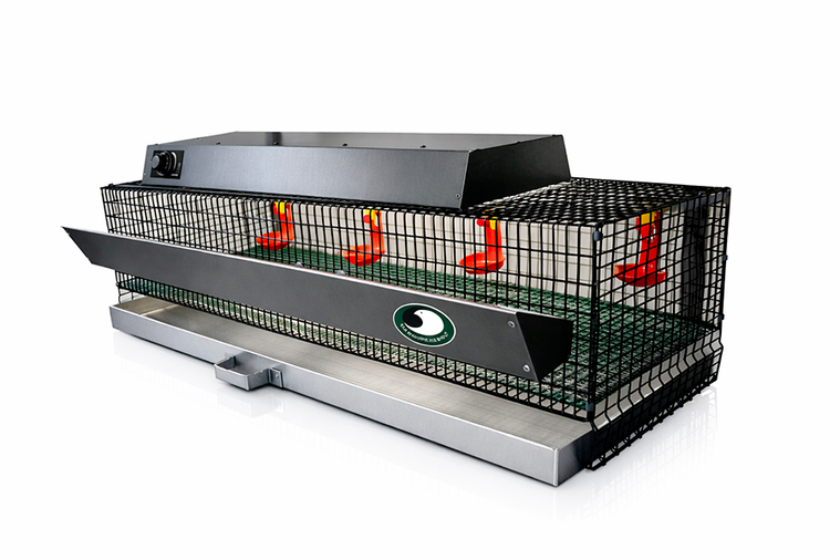 Quail brooder made of PVC‑coated galvanized mesh with heating block, feeder, galvanized tray, nipple drinkers and bedding nets for chicks aged 1–4 weeks