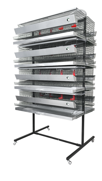 Metal rack with eight PK quail cages, galvanized trays, feeders and four rollers for easy movement