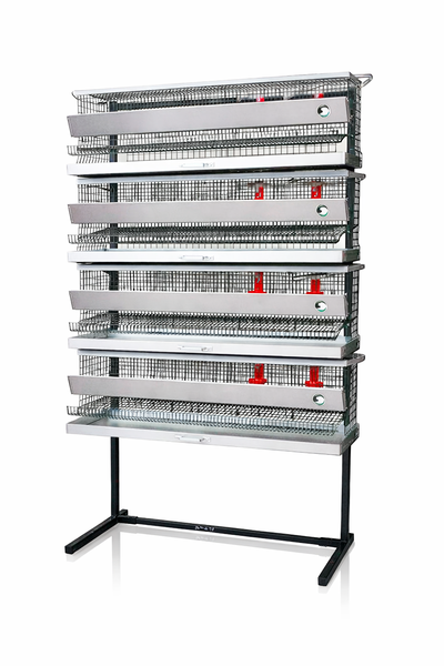 Four‑tier PK‑1 quail cage rack for 64–96 quails, with galvanized wire mesh, trough feeders, nipple drinkers, and removable trays