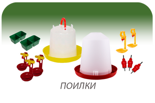 Поилки и поильные системы для птиц